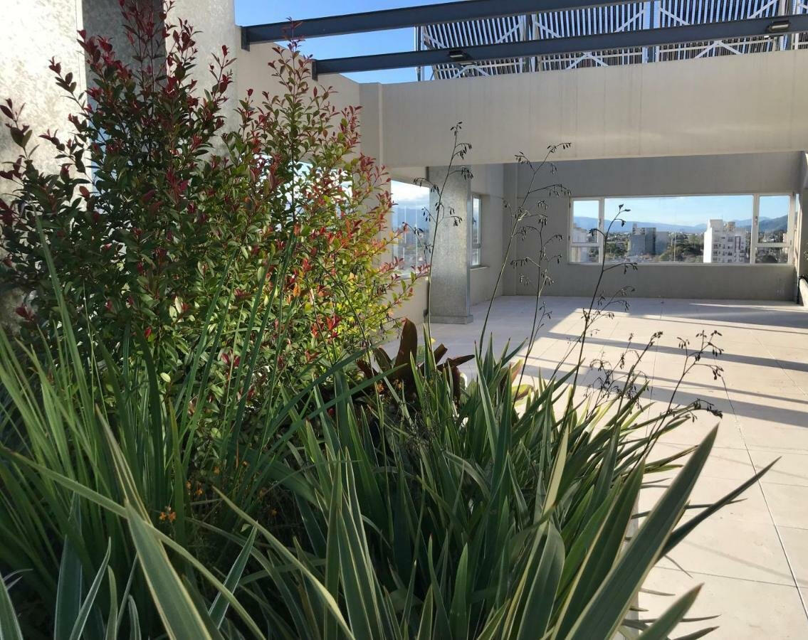 Terraza vegetada. Macetones revestidos como contenedores de especies arbustivas (Aires Verdes, Salta 2019)