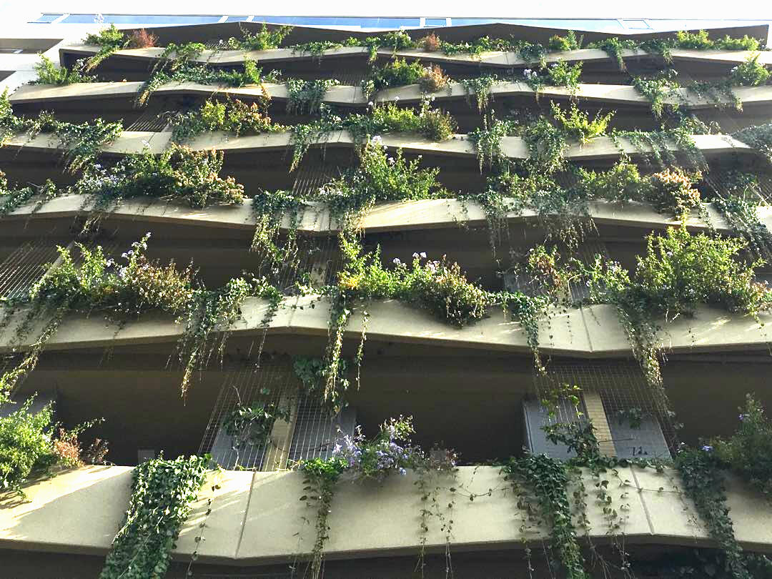 Balcones verdes para un edificio con certificación de sustentabilidad. (Aires Verdes, Salta 2019)