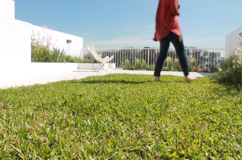 Techo verde. Ejecución de jardín sobre losa. (Palermo 2019)