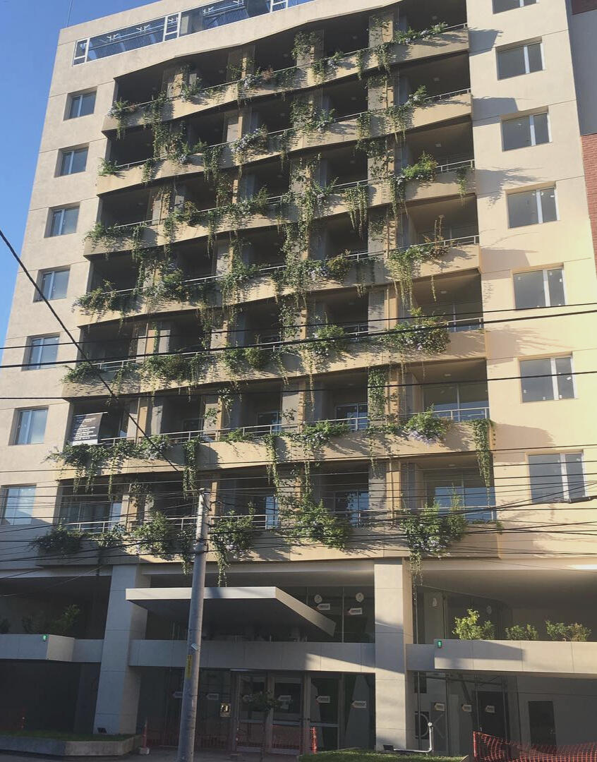 Fachada vegetada para edificio sustentable (Aires Verdes, Salta 2019)