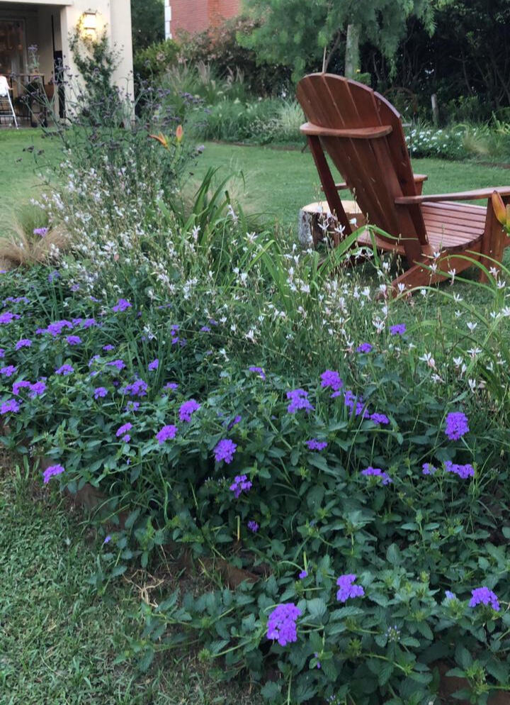 Jardin Particular. Canteros (Pilar 2021)